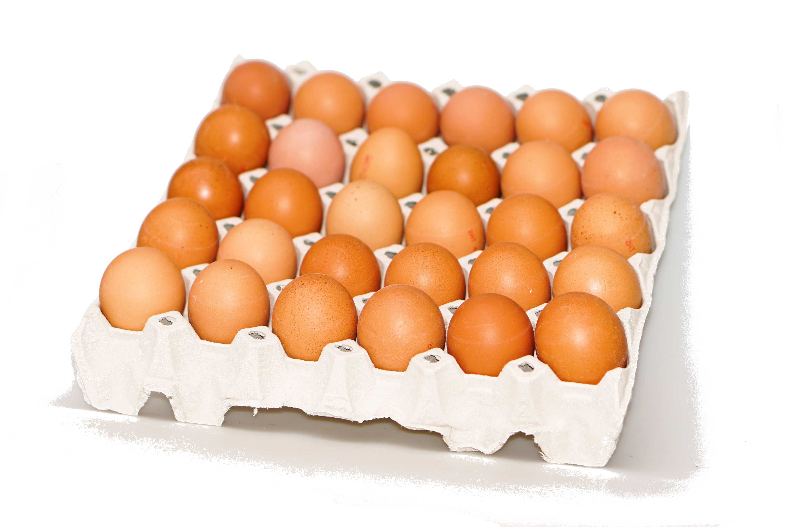 Frische Eier Obst Moser