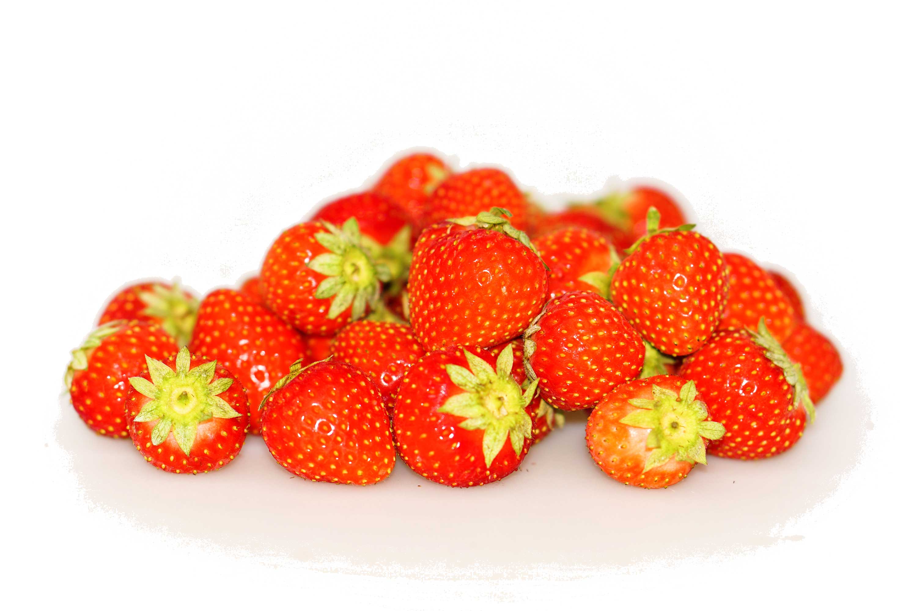 Erdbeeren Obst Moser