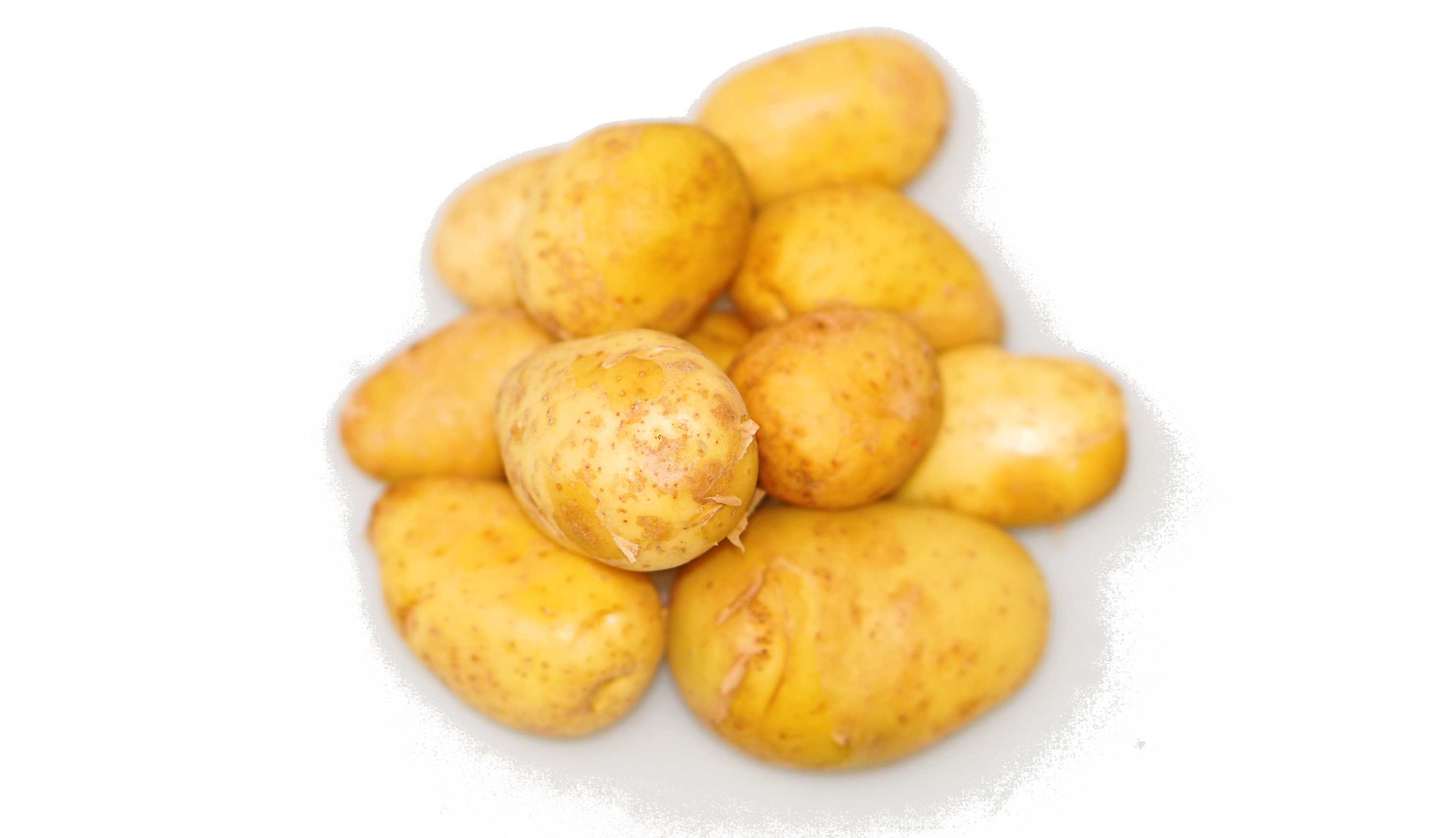 Kartoffeln Erdäpfel Obst Moser