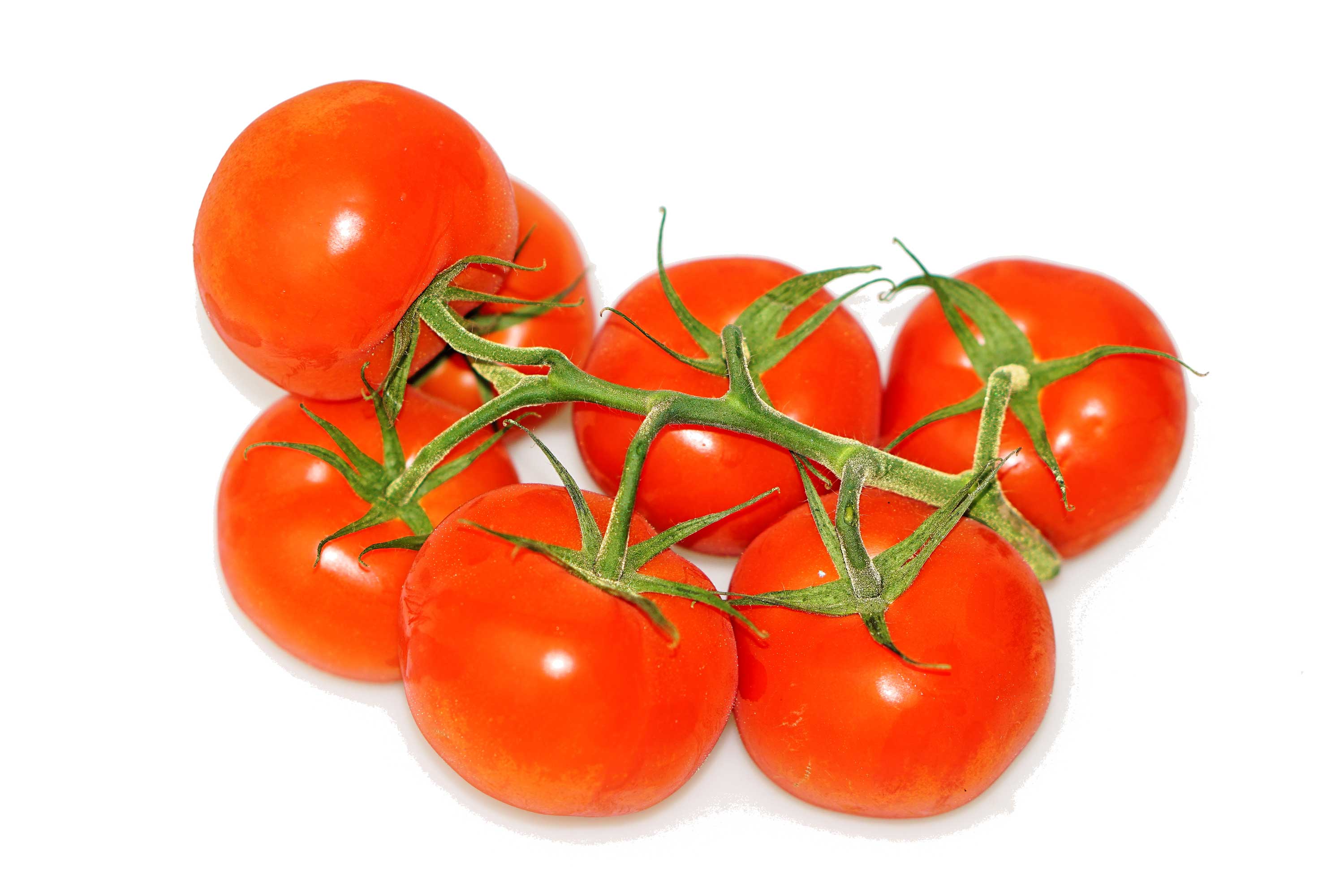 Tomaten Paradeiser Obst Moser