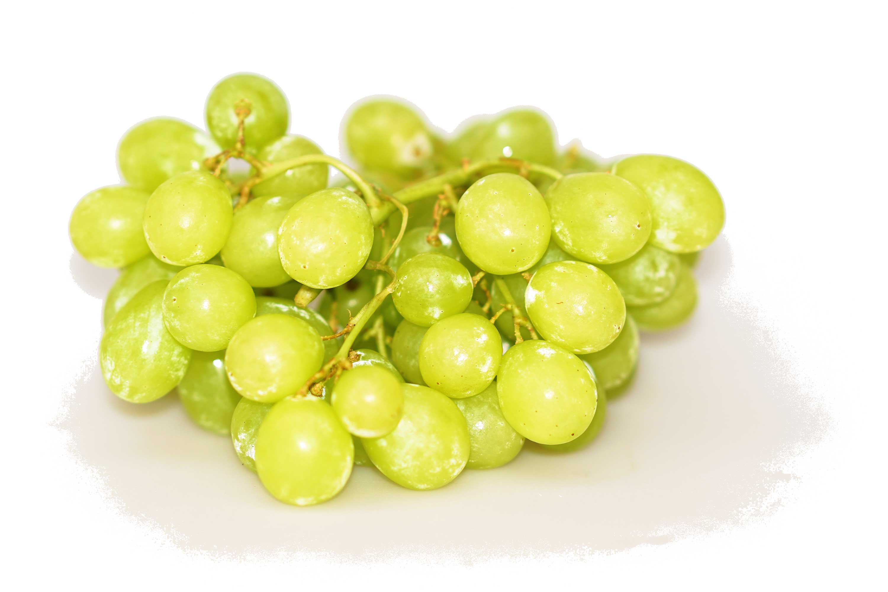 Weintrauben Obst Moser